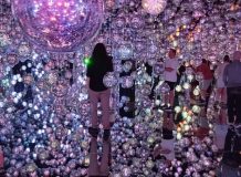 写真：片山東熊など